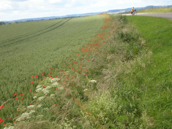 2008 juin bourgogne 186.jpg